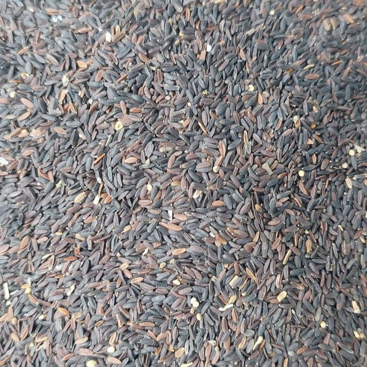 Premium Basil Seeds | Tukh Malanga