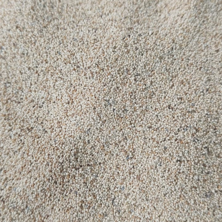 Premium Khashkhash (Poppy Seeds) – Pure & Fresh