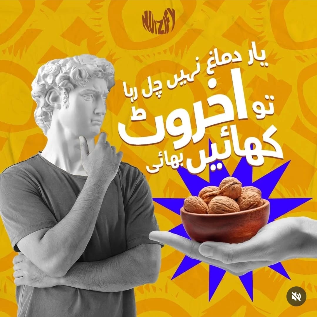 Walnut Kernel | Akhrot Giri