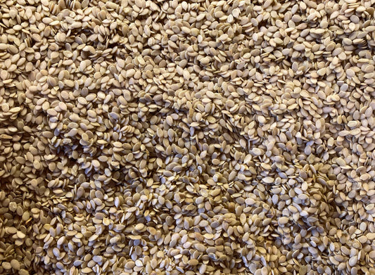 4 Maghaz (Char Magaz) – Traditional Brain-Boosting Superfood