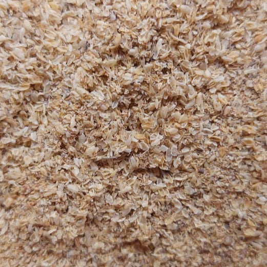 Ispaghol Chilka – Natural Psyllium Husk for Digestive Wellness