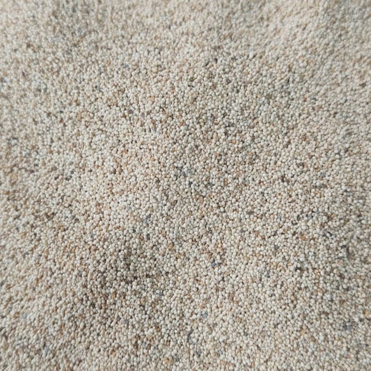 Premium Khashkhash (Poppy Seeds) – Pure & Fresh